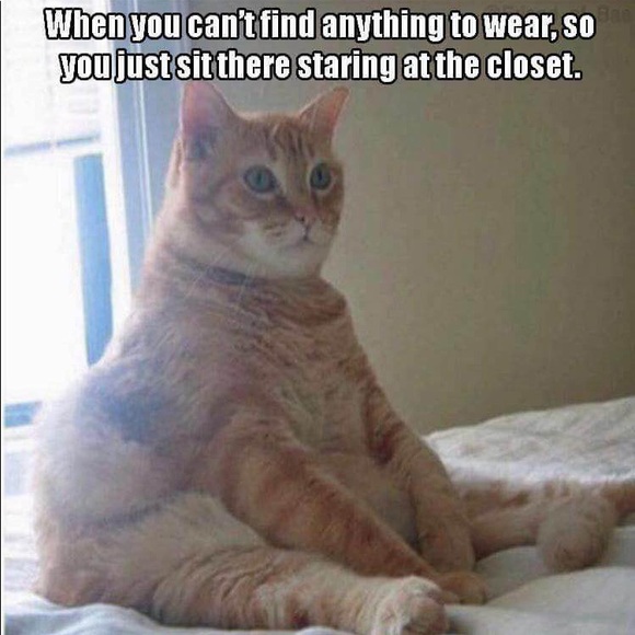 Meet your Posher, Alena - Picture 3 of 4